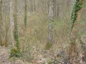 P1000159(1)