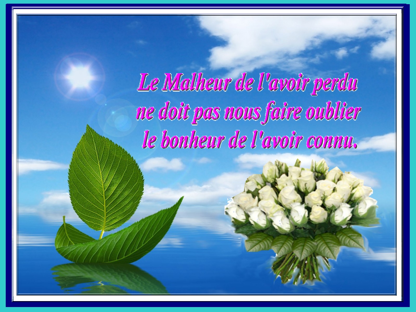 110820105407984878616703 dans 