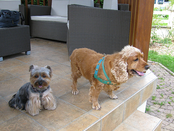 hebergeur image