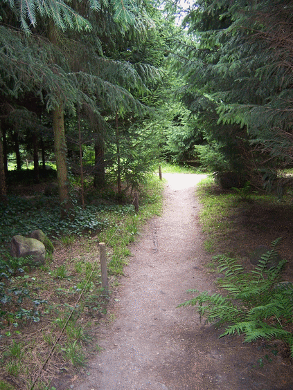 hebergeur image