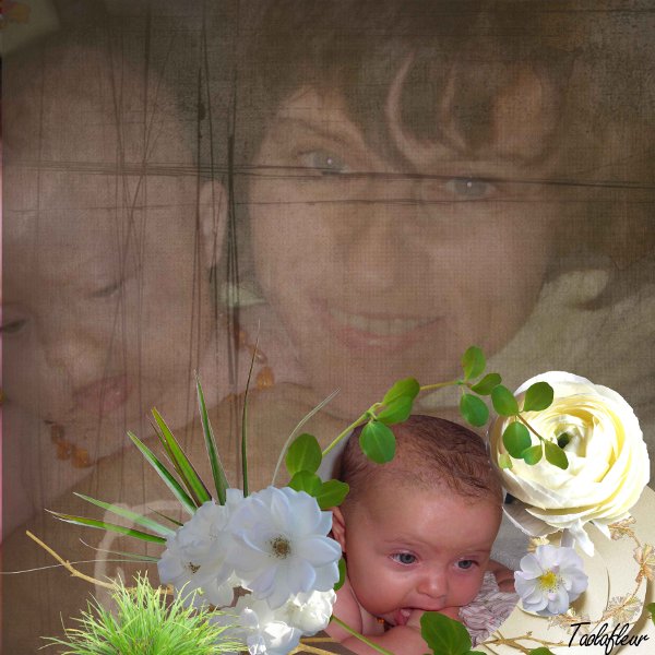 http://nsm05.casimages.com/img/2011/08/24//110824095717753548636355.jpg