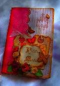 CARNEt20BOUDOIR