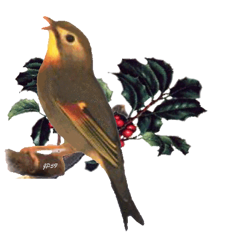 hebergeur image