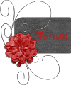 Accueil