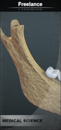 http://nsm05.casimages.com/img/2011/09/16/1109160731181184638749189.png
