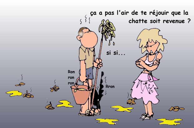 photo gratuite chatte