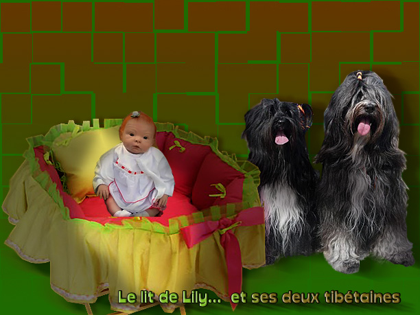 hebergeur image