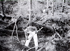 hebergeur image