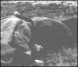 hebergeur image