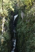 IMG_2316