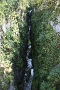 IMG_2318