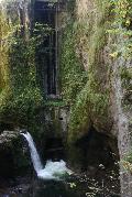 IMG_2338