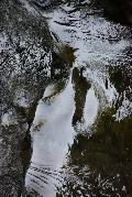 IMG_2339