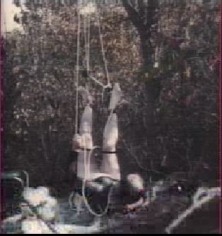 hebergeur image