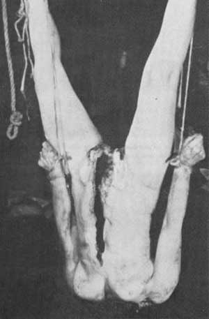 hebergeur image