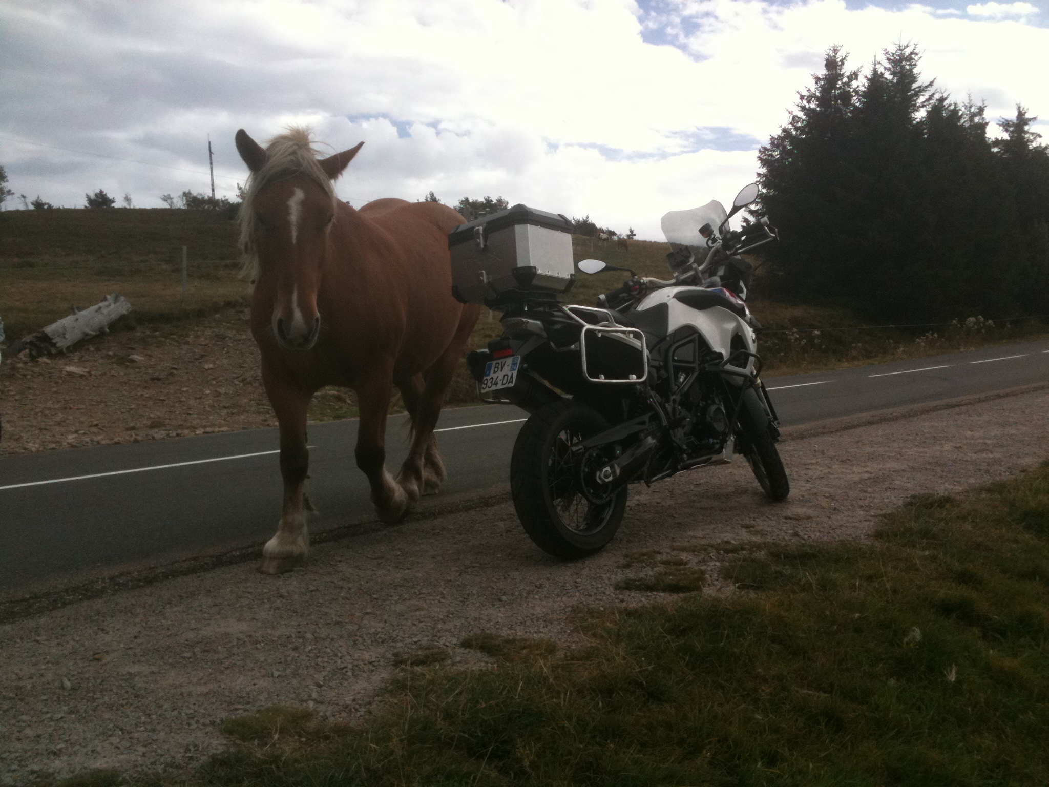 Rencontre 1 jour