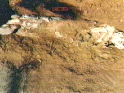 hebergeur image