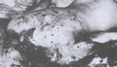 hebergeur image