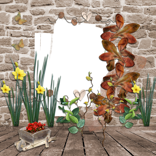 hebergeur image