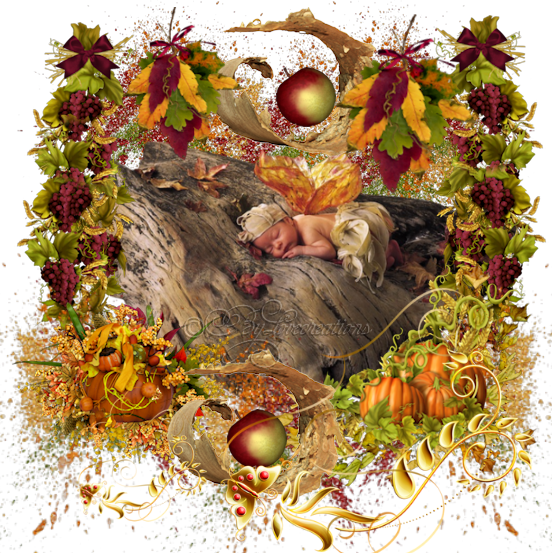 hebergeur image