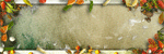 http://nsm05.casimages.com/img/2011/10/20/111020053901184678930200.gif