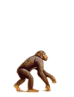 hebergeur image