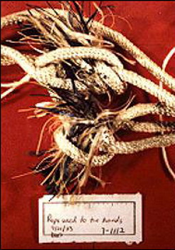 hebergeur image