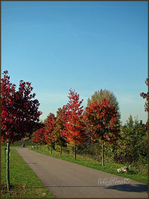 hebergeur image