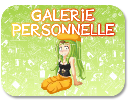 Galeries personnelles