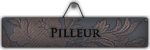 Pilleur