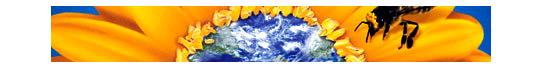http://nsm05.casimages.com/img/2011/10/31/111031060929635048984916.png