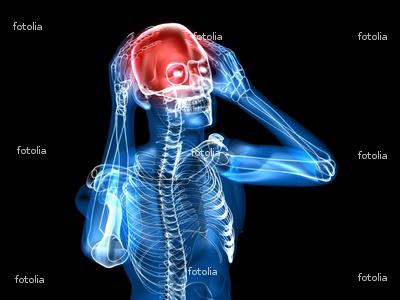 http://nsm05.casimages.com/img/2011/12/25//1112250930511007849219024.jpg