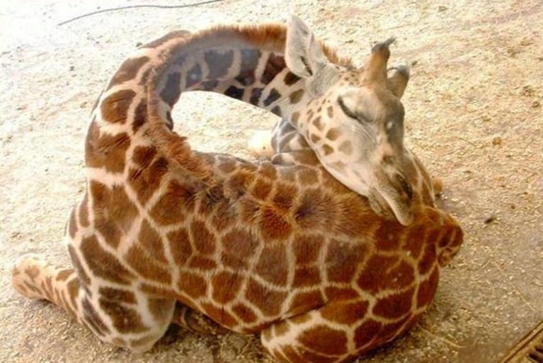 http://nsm05.casimages.com/img/2011/12/29//1112290548091007849232216.jpg
