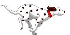 120101082954817229245036.gif