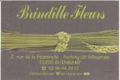 Brindille Fleurs Guingamp