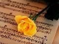 rose-partition-musique