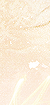 Pas de nouveaux messages