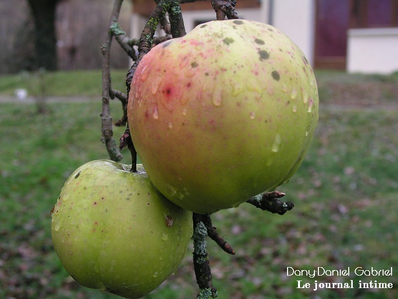 pomme france hiver 2012 savoie alpes