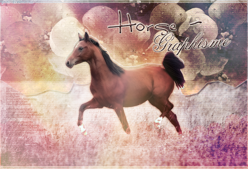 Horse' Graphisme