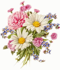 hebergeur image