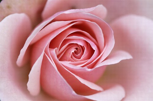 http://nsm05.casimages.com/img/2012/03/21//1203210538521007849612201.jpg