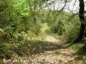 Agrandir l'image Col del Faig - ES-GI-1165a