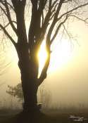 Paysages