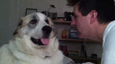 http://nsm05.casimages.com/img/2012/04/04//1204040521101007849672763.gif
