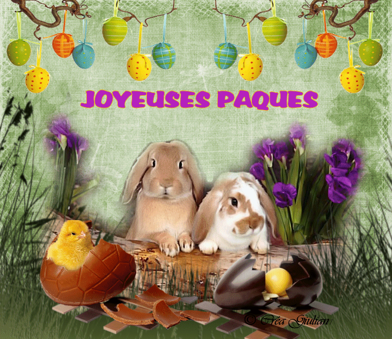 1.P&acirc;ques 018