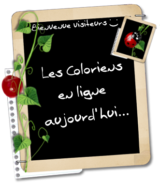 Qui est en ligne ?