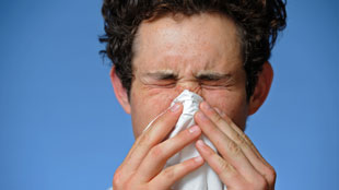 Atchoum� Ces sempiternelles allergies! 