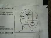 Hebergement gratuit d'image et photo