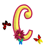http://nsm05.casimages.com/img/2012/04/25//1204250941541463559764105.gif