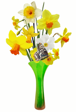 http://nsm05.casimages.com/img/2012/04/25//1204250942411463559764123.gif